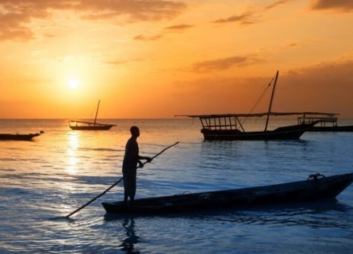 Dhow Sunset Cruise