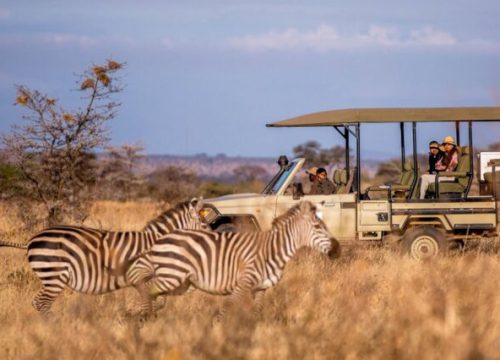 Selous Game Reserve Safari