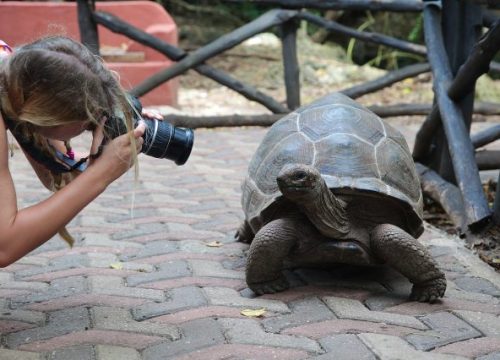 Sandbank Picnic in Zanzibar