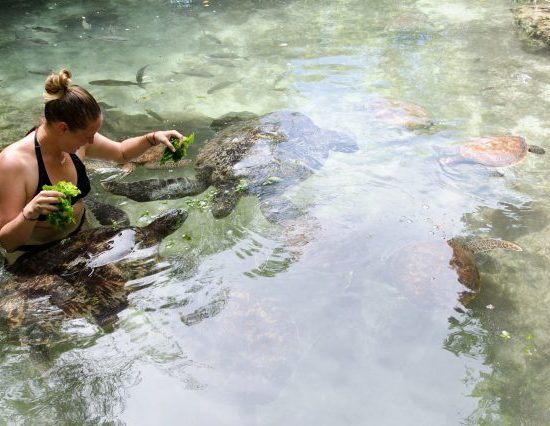 Baraka Aqurium